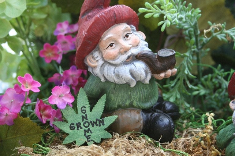 Garden Gnome Pipe Smoking Yard Gnome With Gnome Grown Leaf Sign