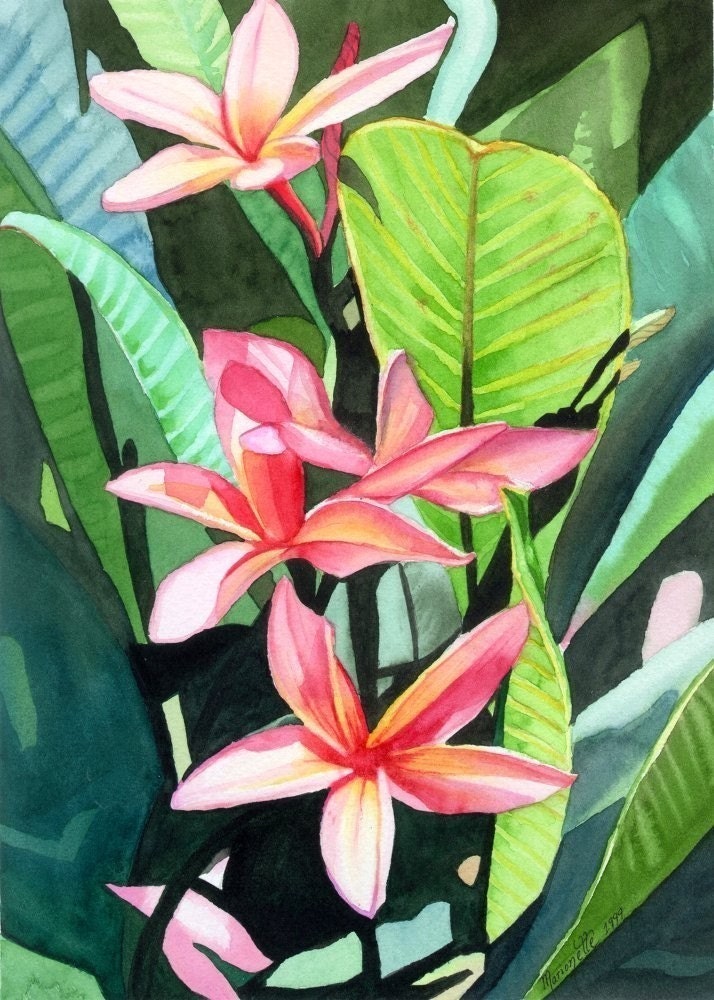 Plumeria print 5x7 from Kauai Hawaii Melia