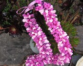 Ribbon Lei - Swan River Daisy