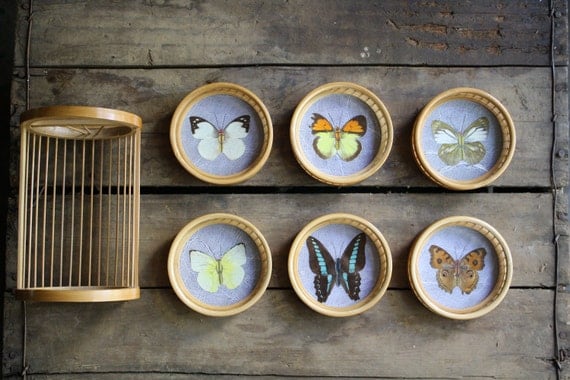 vintage butterfly coasters