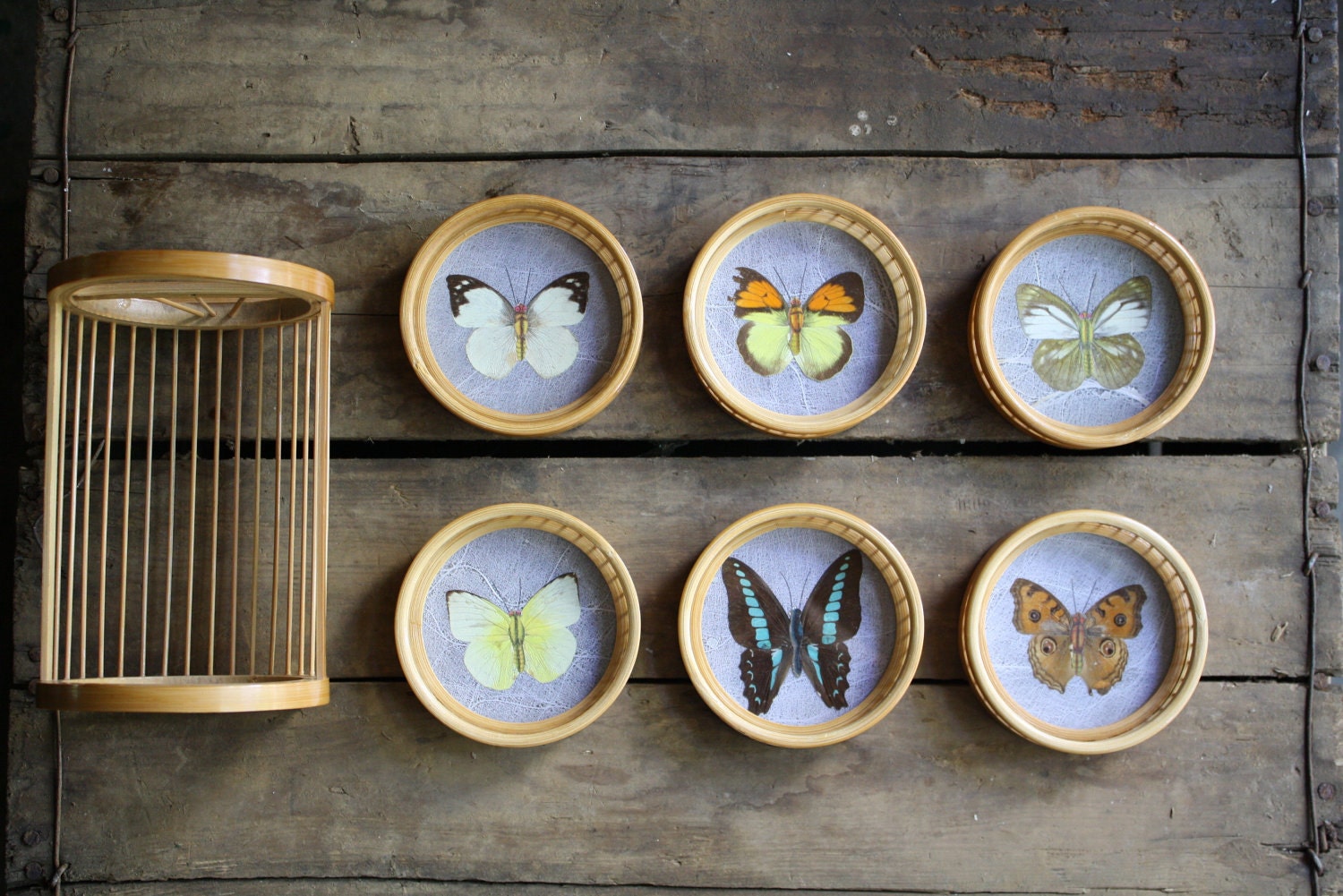 vintage butterfly coasters
