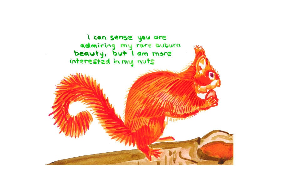 Red squirrel greetings card with text