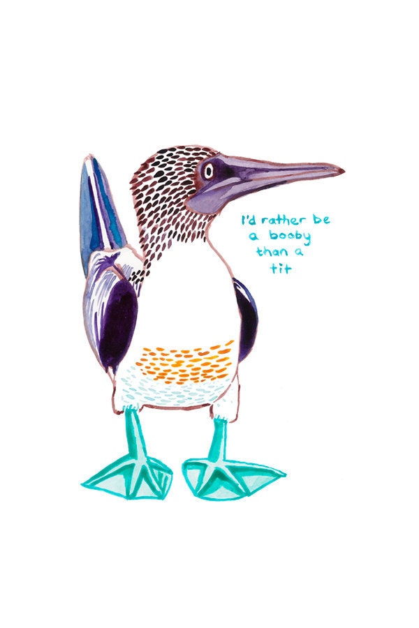 Blue footed booby bird printed greetings card UK SELLER