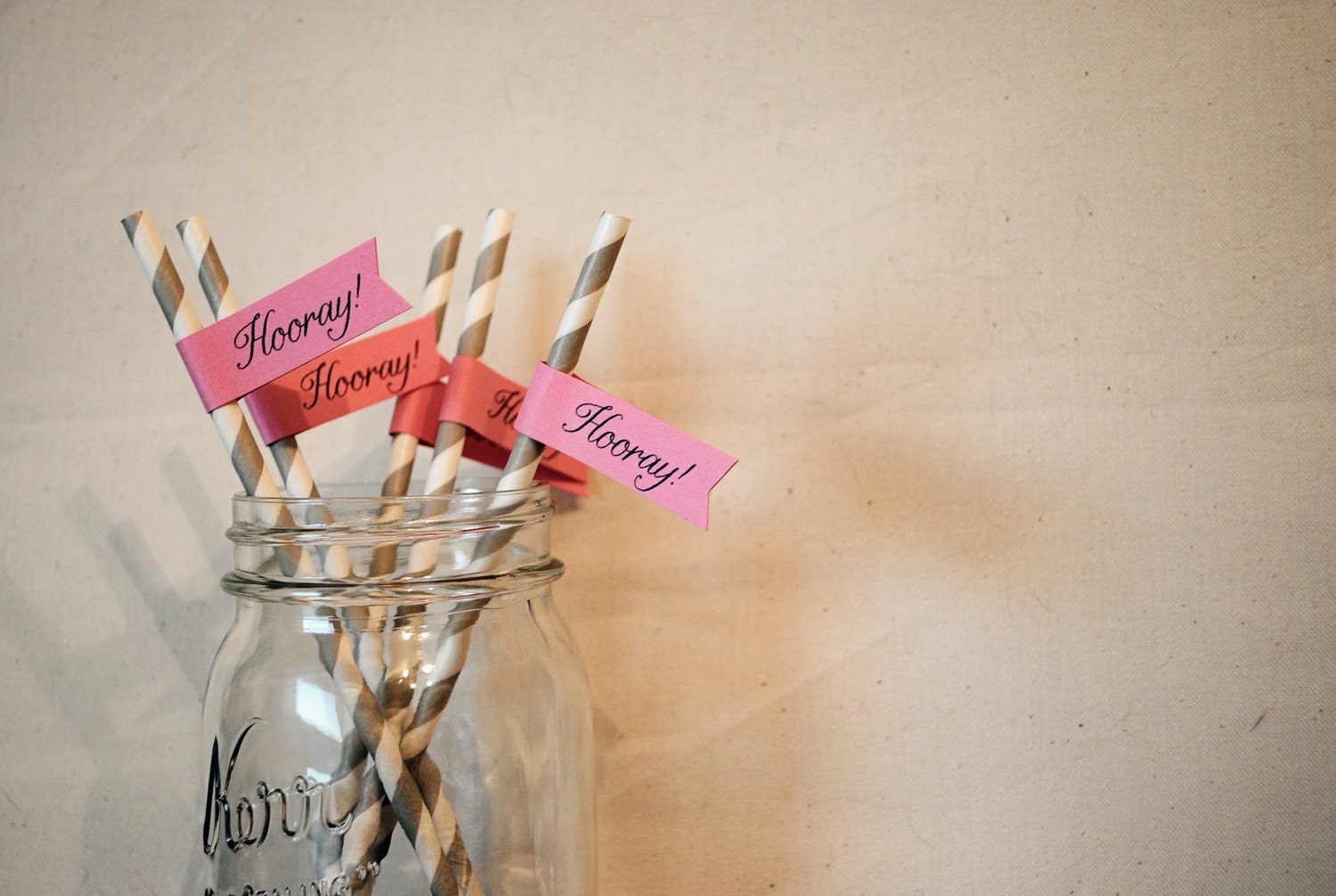Hooray - Paper Drink Straw Flags- Set of 12