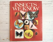 Vintage 1960's Children's Book- Insects We Know - elizabethwrenvintage