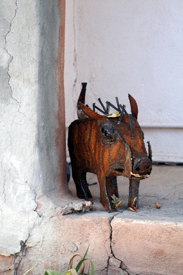 Fine Art Photography - Whimsical Art - Javelina - Desert Animal - Santa Fe New Mexico -  Playful Rustic Wildlife - Metal Sculpture Photo