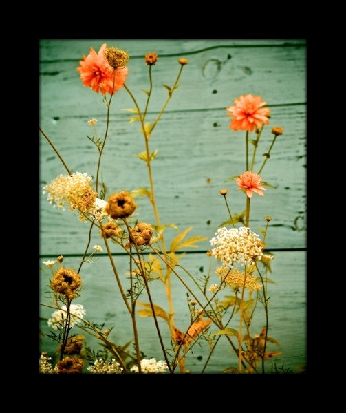 The Secret of Secrets - 8x10 Fine Art Print