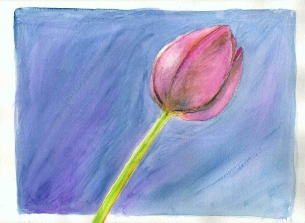 Tulip, an Original Watercolor Print