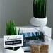 Porcelain Egg Planters, Wheat Grass Kit, Egg Sprouts Set of 2