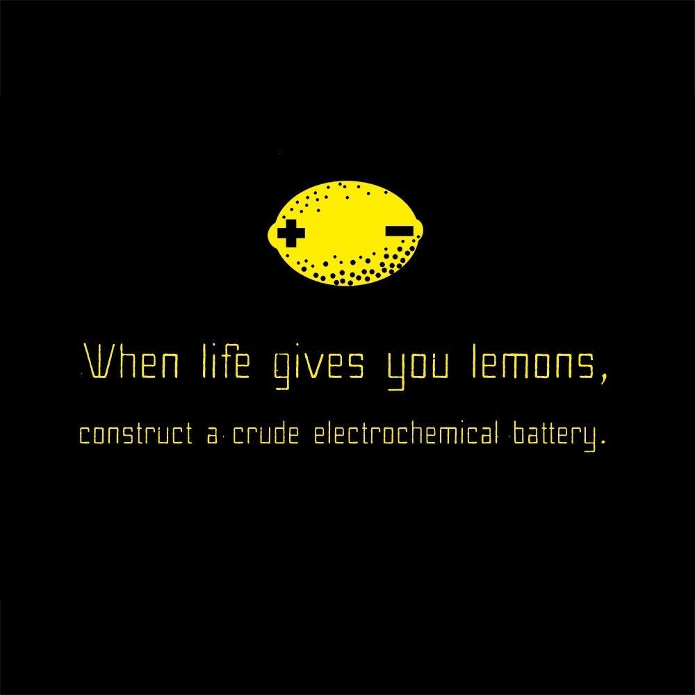 When life gives you lemons - Science - Geek - Funny - T Shirt - M L XL