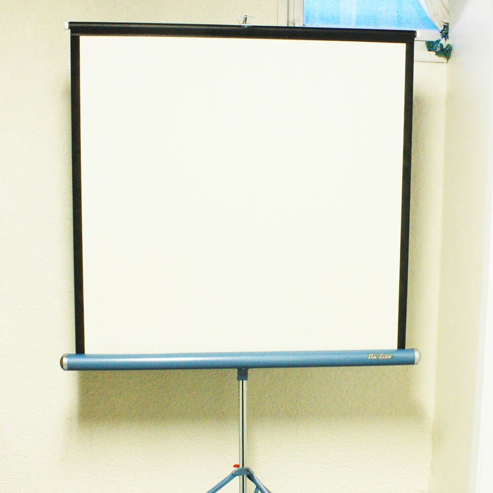 Vintage Projector Screen