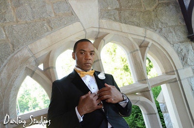 Gold Bow Tie - The Teddy Bow Tie, Groom Bow Tie, Groomsmen Formal Pre Tied Tie, Mens Formal Wear Adjustable Tie, Gold