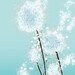 Perennial Moment (aqua) - 12x18