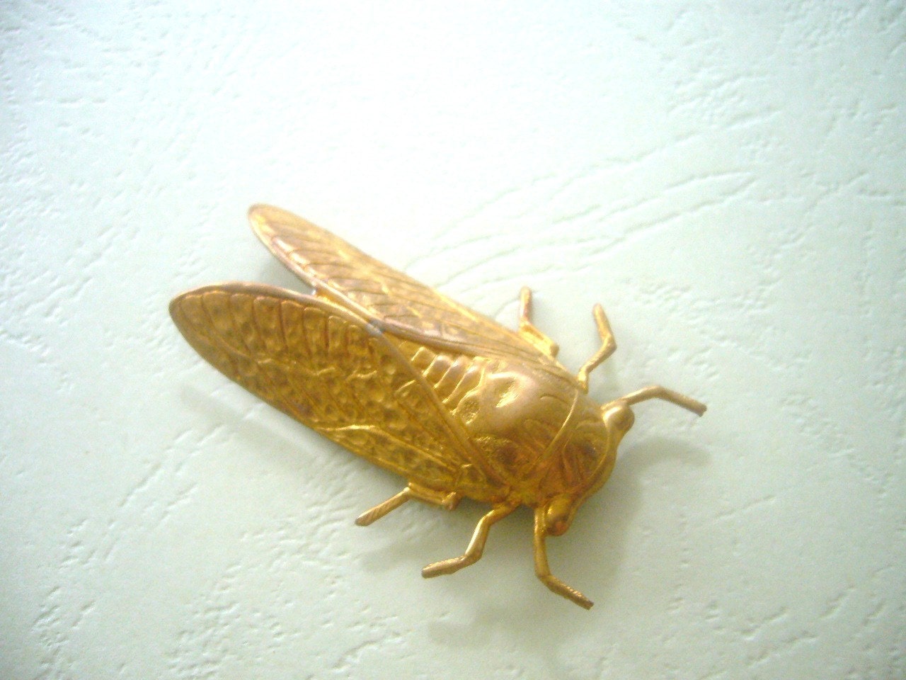 Cicada Brooch in brass unisex insect