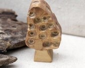 Oh my morel mushroom