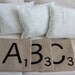 COZY Letter Pillows - Inserts Included