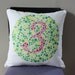 Ishihara Colorblind Test Pillow - Number 3