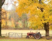 Nature Photography, autumn tractor orange fall rust red yellow golden leaves - fine art harvest photography
