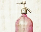 Home decor, pink wall art, fine art photography, shabby chic vintage lavender honeysuckle glass bottle mondern print pink wall art - 8x8