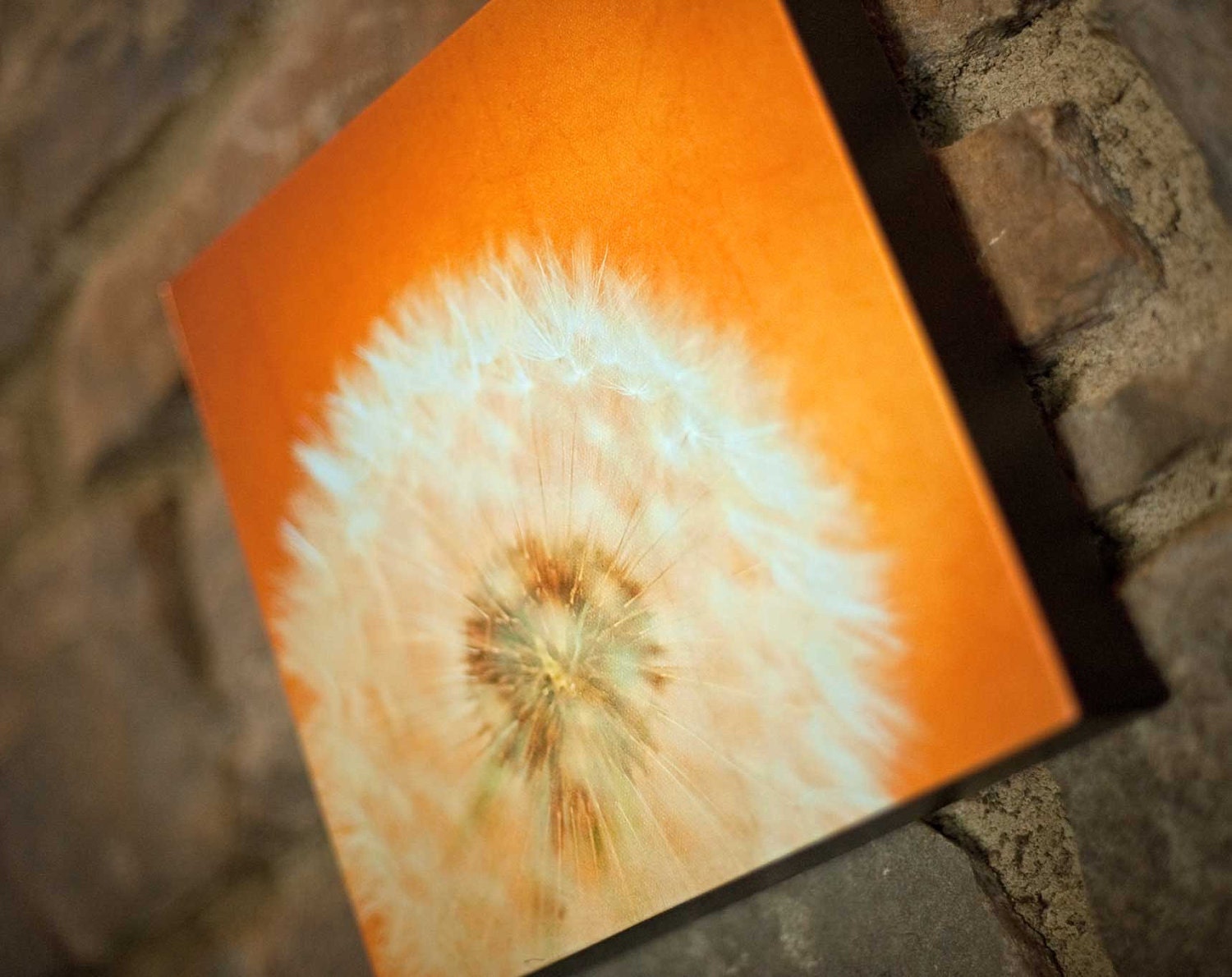 Dandelion Photo, Orange, Spring Decor nursery art nature photos wood panel wall art home decor - 8x8 Ready To Hang