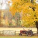 Nature Photography, autumn tractor orange fall rust red yellow golden leaves - fine art harvest photography - 5x7