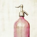 Home decor, pink wall art, fine art photography, shabby chic vintage lavender honeysuckle glass bottle mondern print pink wall art - 8x8