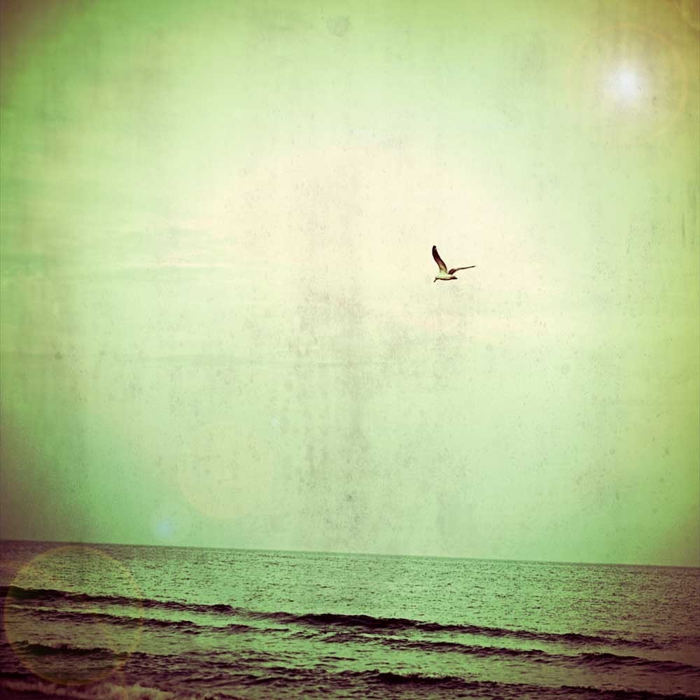 Ocean photography surf photo bird print seagull photo mint green turquoise teal green bohemian seascape fine art photography - 8x8