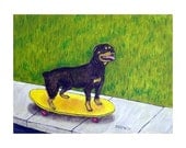 Rottweiler on a Skateboard Dog Art Print