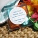 Solid Hair Care Bars Travel Pack