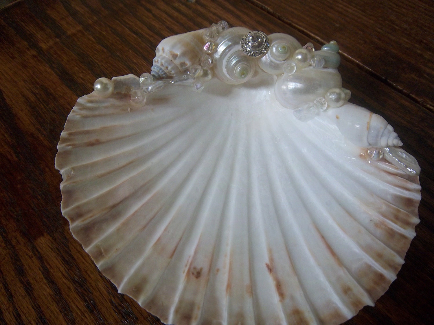 Beach Decor -Scallop  Shell Ring Holder