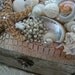 Treasure Box of the Sea