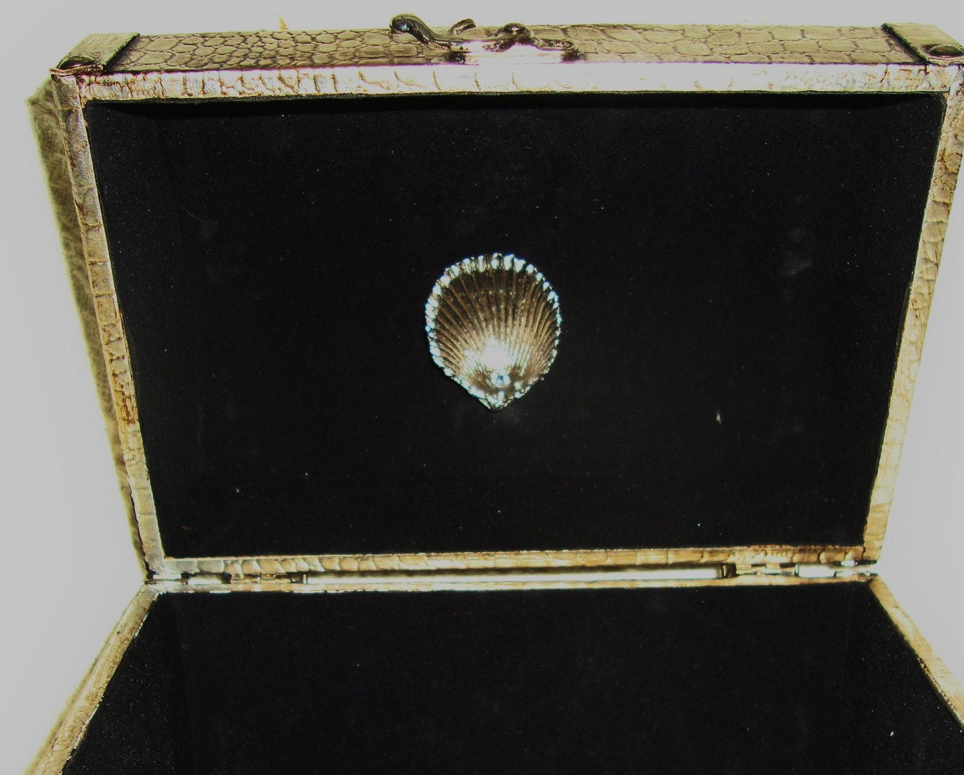 Treasure Box of the Sea