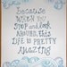 Pretty Amazing (16x20 Limited Edition Poster Print)