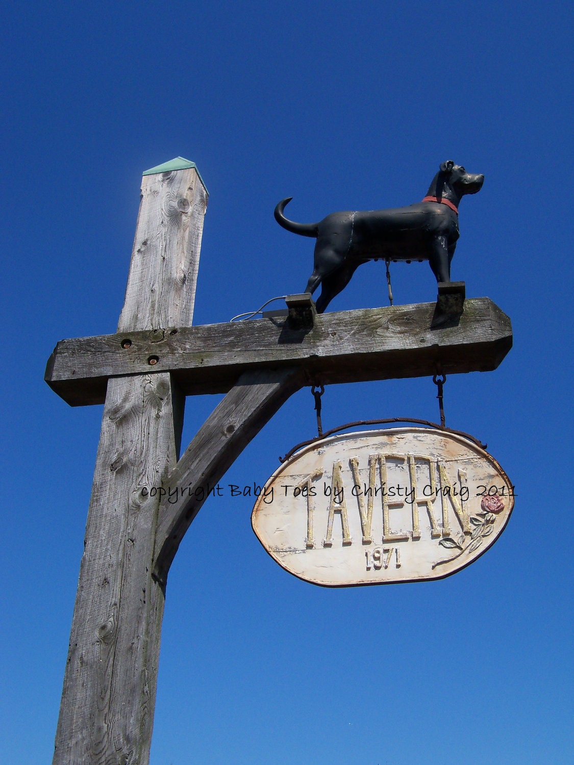 Black Dog Tavern - Martha's Vineyard, MA