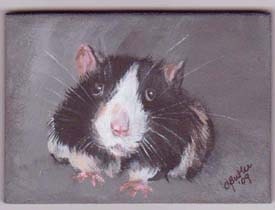 Rat...Hi There Original ACEO magnet
