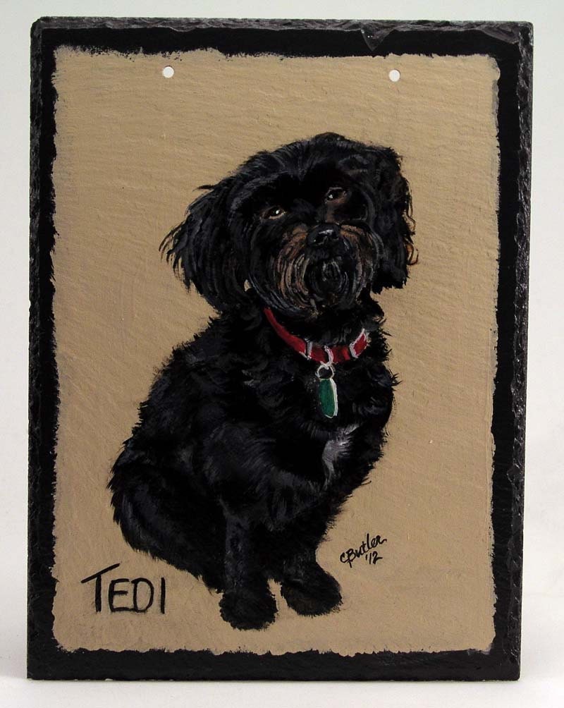 Custom Havanese Slate