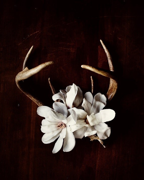 Antler and Magnolia No. 6935