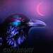 raven crow art print painting, wildlife art, bird print, raven, corvid moon crescent night