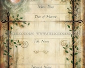 FRENCH VINTAGE Garden Herb Label - Set of 5