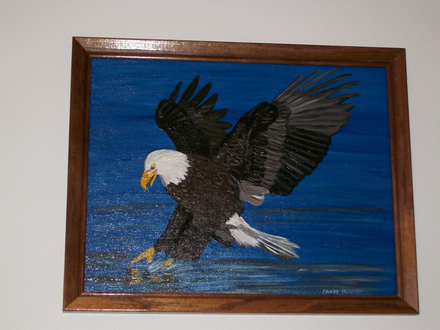 Bald Eagle Fishing