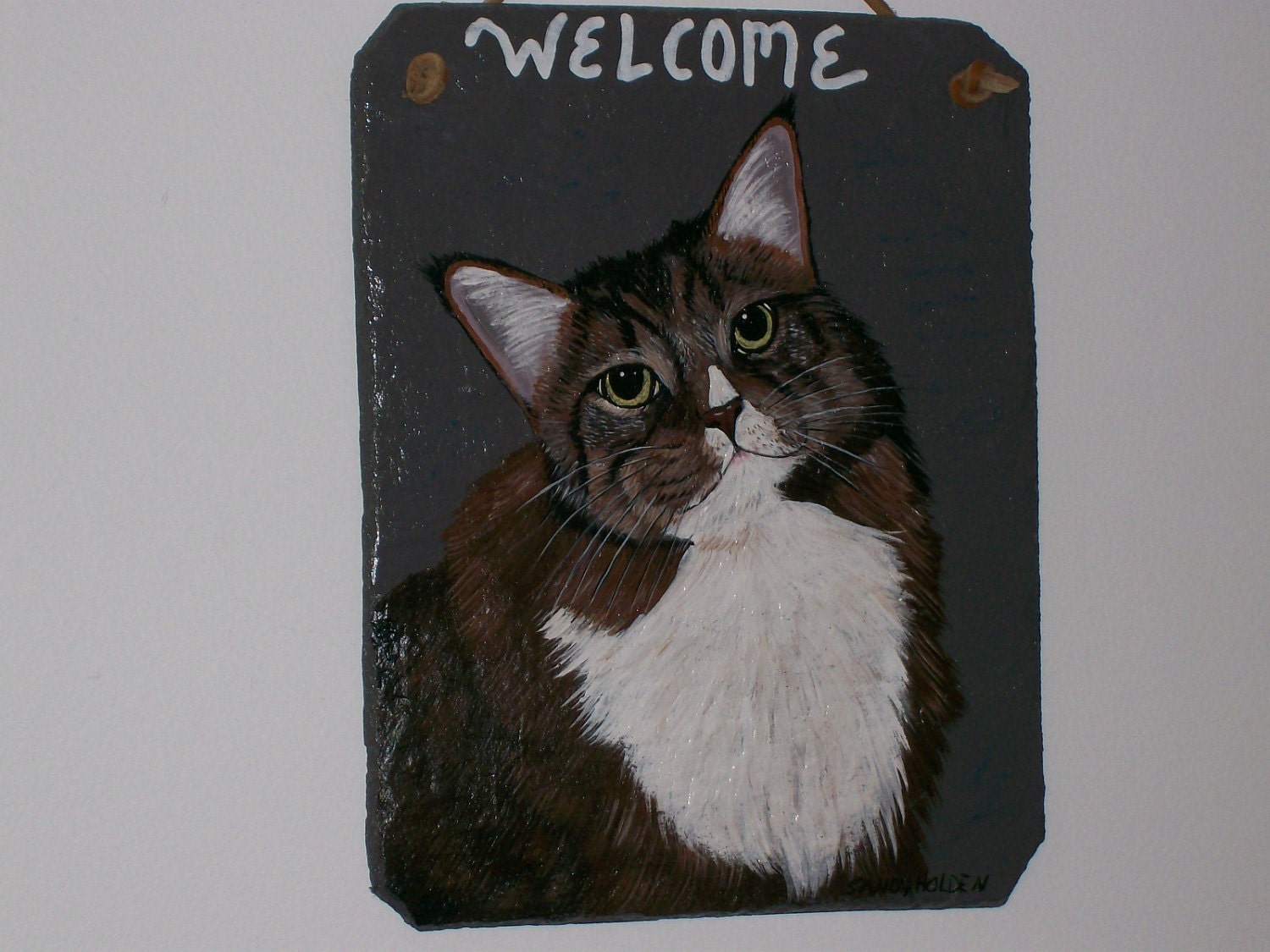 Maine Coon Cat Welcome Slate