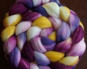 Eggplant Spinning Fiber Superwash Merino