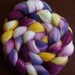 Eggplant Spinning Fiber Superwash Merino