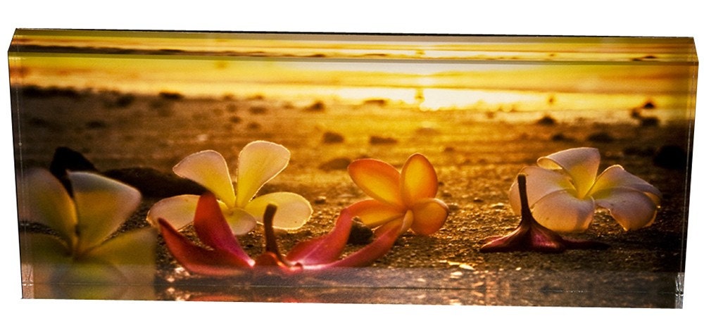 Panoramic acrylic photo block No. 11 - follicle
