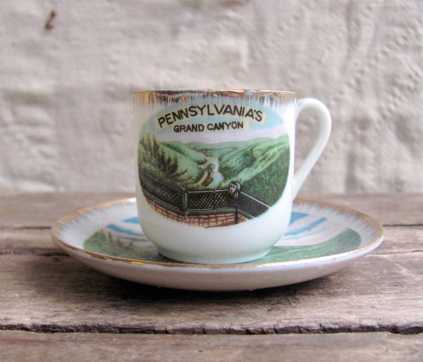 vintage 1950s souvenir tea cup and saucer // Pennsylvania Grand Canyon