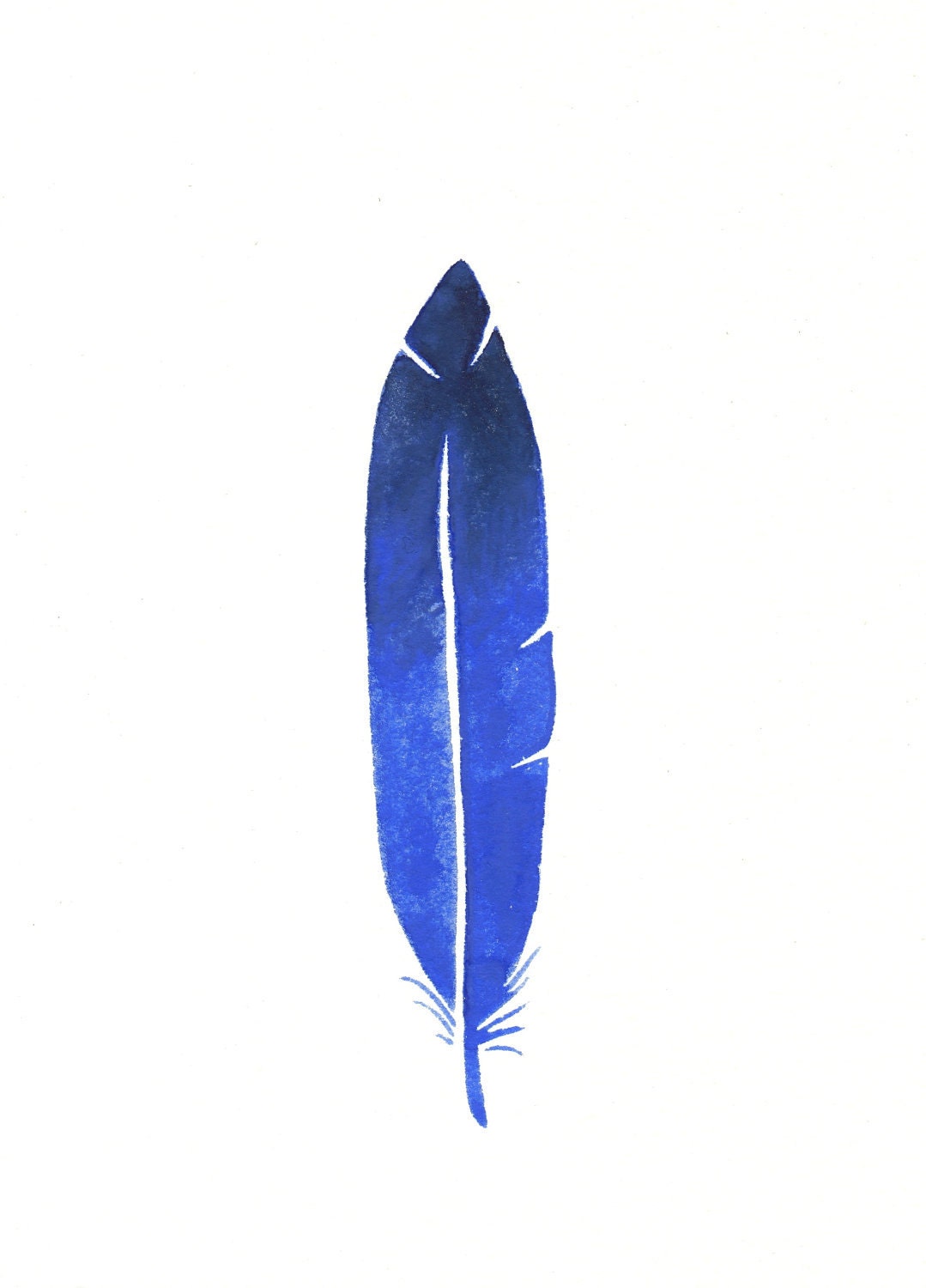 Feather Anna Tovar