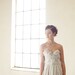 Parisian Princess Gown
