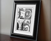 LOVE Letters - 5x7 Black and White Alphabet Photos (Unframed)