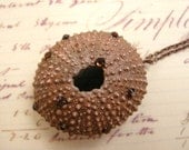 Sea Urchin and Swarovski- Crystals Necklace - Copper Electroformed