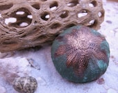 Sea Urchin - Copper Electroformed